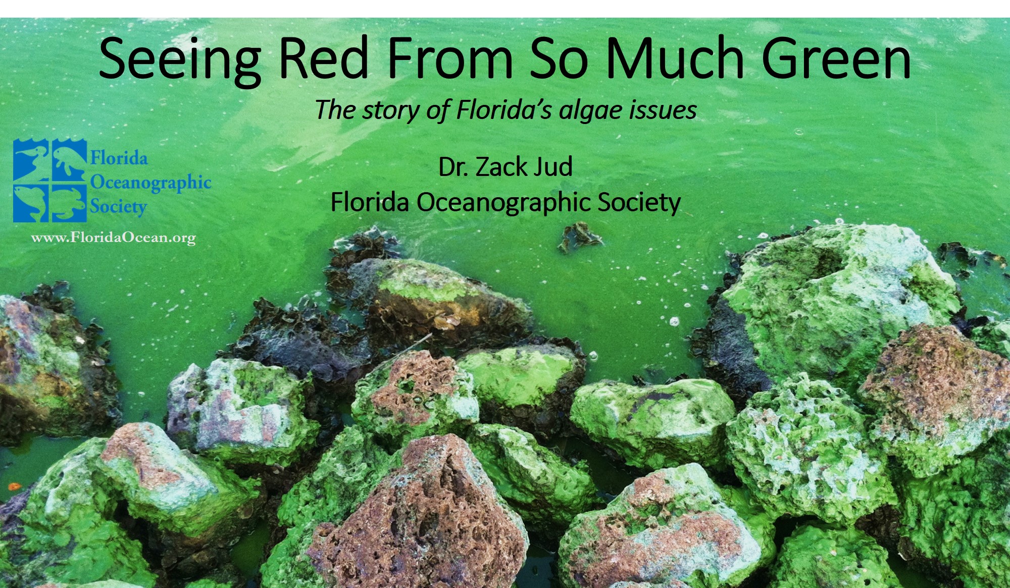 Florida Oceanographic Society Algae Blooms and Florida’s Water Issues